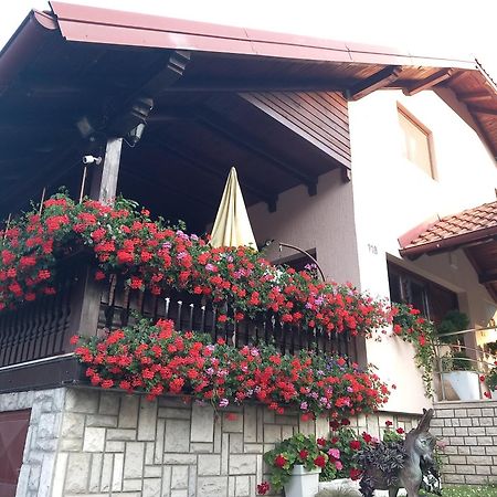 Apartment Vihor Златибор Екстериор снимка