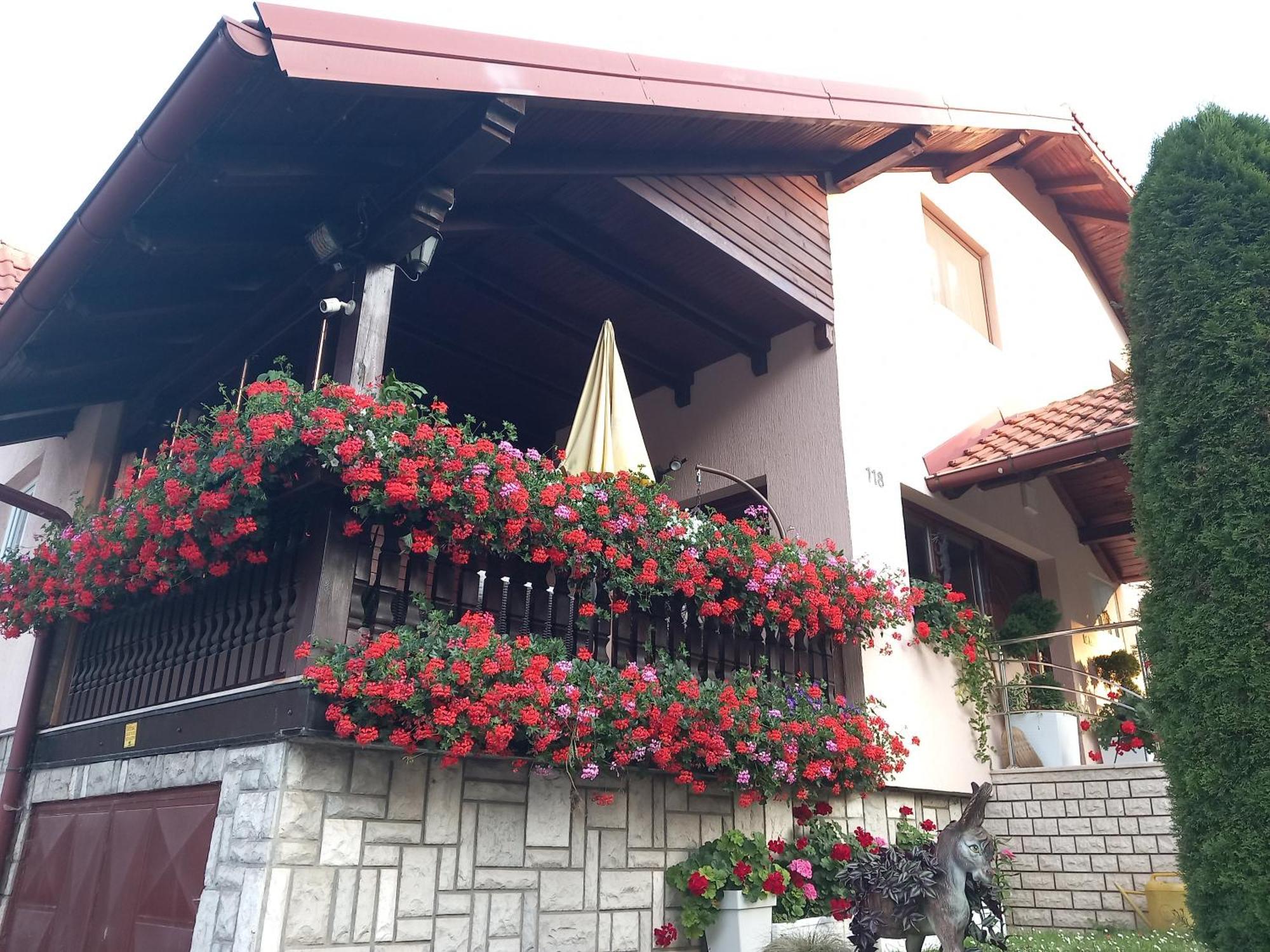 Apartment Vihor Златибор Екстериор снимка