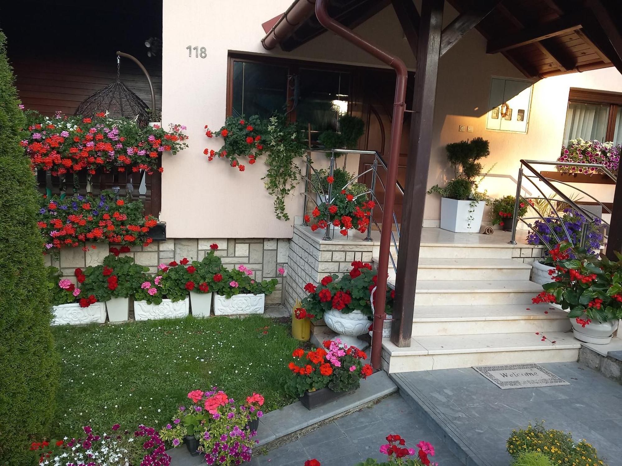 Apartment Vihor Златибор Екстериор снимка
